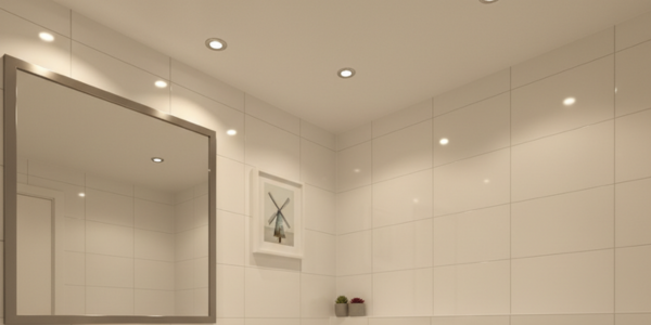 Badkamer met witte wandtegels, ingebouwde plafondspots, een grote spiegel met metalen rand, een klein wandrekje met planten en een ingelijst kunstwerk.